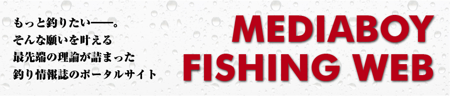 MEDIABOY FISHING WEB